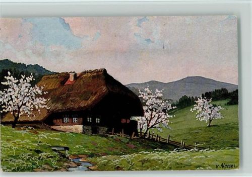 Schwarzwaldhaus , Moos Serie V Nr. 9 AK Nessel
