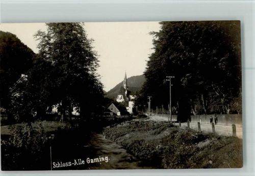 Gaming 1926 Schloss Allee AK Gute Erhaltung