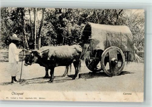Volkstypen - Chiapas Ochsengespann Carreta - Landwirtschaft