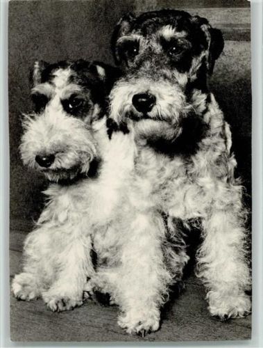 ca 1955 AK