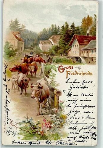 Friedrichroda 1897 Kühe Lithographie