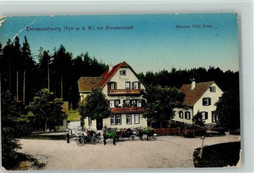 Zwieselberg 1912 Pension Villa Berta, Kutschen, AK