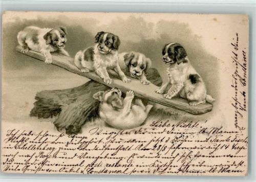 Hundewelpen auf einer Wippe AK Hund 1901 Prägedruck
