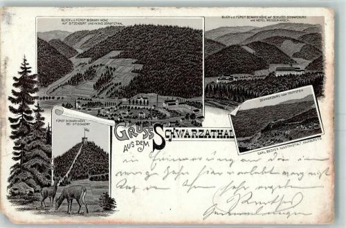 Schwarzatal 1896 Fürst Bismark-Höhe bei Sitzendorf Lithographie