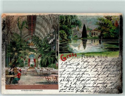 Köln Nippes 501 1900 Flora Weiher Wellingtonia Interieur des Palmenhauses