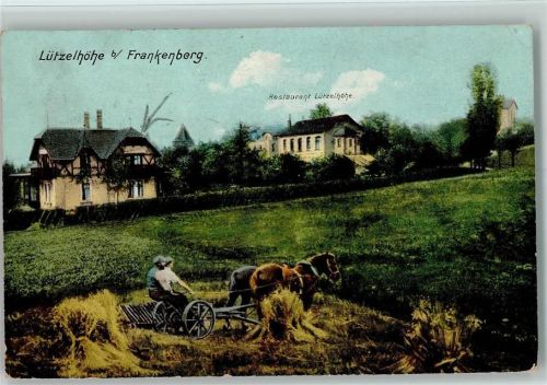 Frankenberg 1906 Lützelhöhe, Restaurant, Bauern bei der Ährenernte, Tiergespann AK