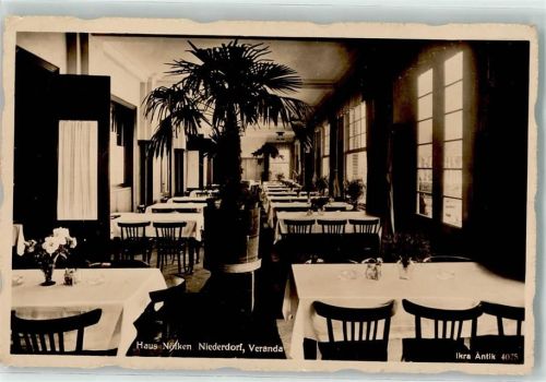 Niederdorf Haus Nölken Veranda Palme