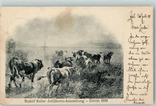 Zürich 1898 Jubiläums-Ausstellung 1898 Kühe AK