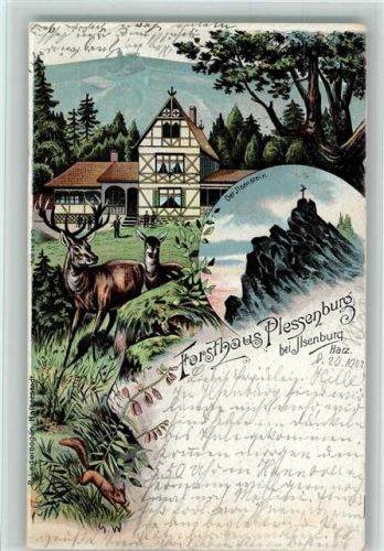 Ilsenburg Gruss aus - Forsthaus Plessenburg AK