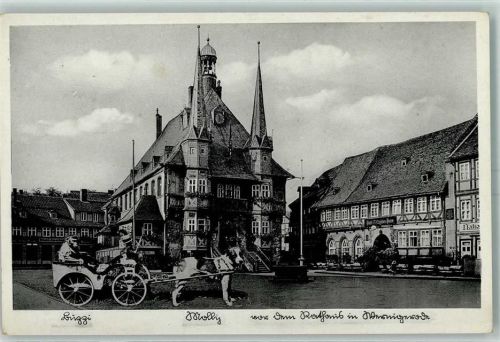 Wernigerode Rathaus Hundekarren mit Affe AK