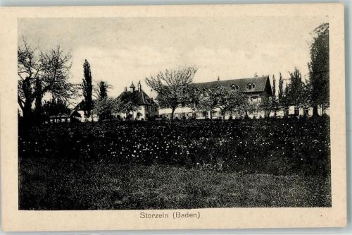 Storzeln