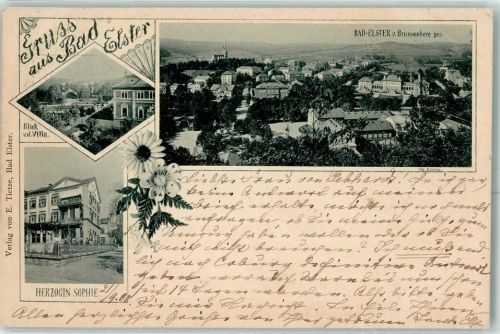 Bad Elster 1900 Bad Elster vom Brunnenberg gesehen Blick v. d. Villa Herzogin Sophie