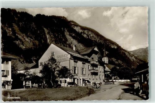 Hinterstein Gasthaus Steinadler Kühe