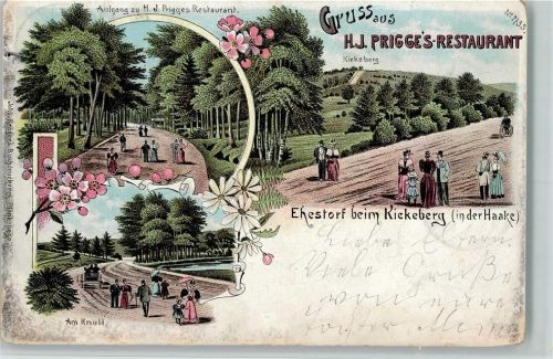 Ehestorf 1900 Gruss aus - Prigges Restaurant AK