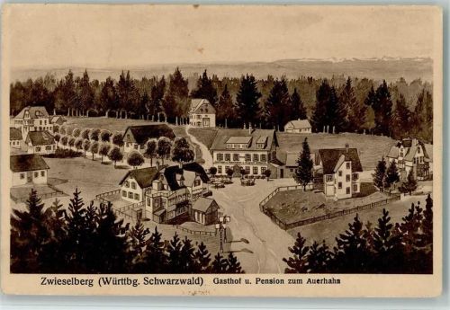 Zwieselberg 1916 Gasthof zum Auerhahn - Kunstverlag Oelgärtner 1910 AK