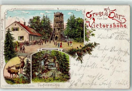 Quedlinburg 1898 Teufelsmühle Hirsch Victorshöhe Hirsch
