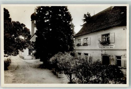 88149 W8993 Nonnenhorn Foto AK Weinstube Fürst vorm. Kling