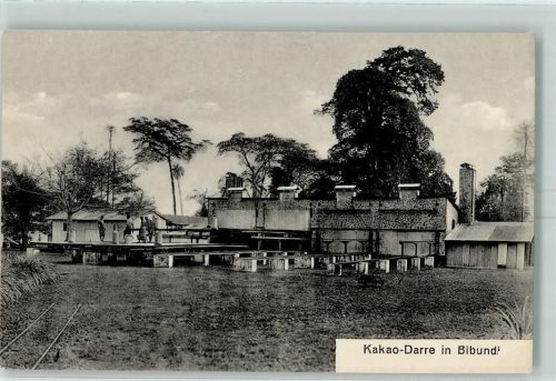 Bibundi Kakao-Darre