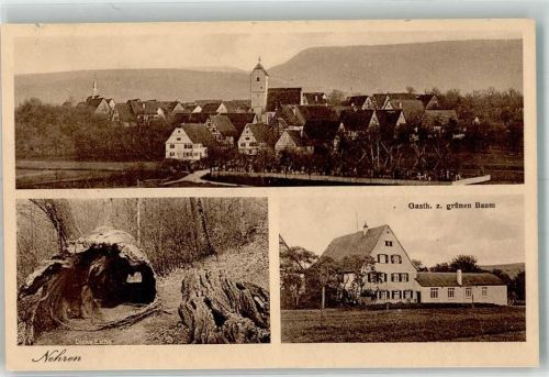 Nehren Dicke Eiche Gasthaus Zum grünen Baum