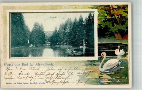 Bad Schwalbach 1901 Im Park Schwanenteich Passepartout