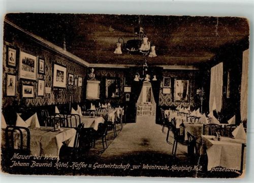 Wien Hotel Cafe Gasthaus zur Weintraube Baumes Mauer
