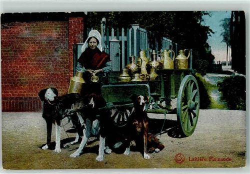 1915 Laitiere Flamande Verlag Lux Serie 18-4 AK