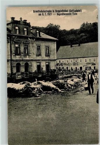 Berggiesshübel 1927 Unwetterkatastrophe Angeschwemmte Tiere