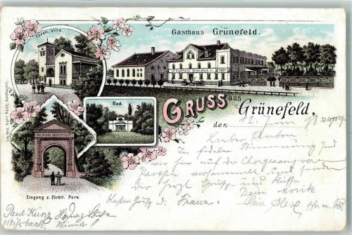 Waldenburg 1898 Fürstl. Villa Gasthaus Grünefeld Bad Eingang zum fürstl. Park Ort lt. Stempel