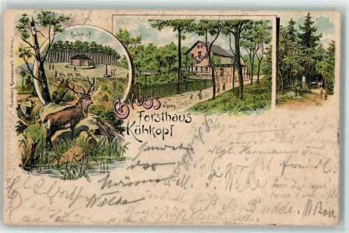Koblenz 1904 Forsthaus Kühkopf Hirsch Ort lt. Stempel