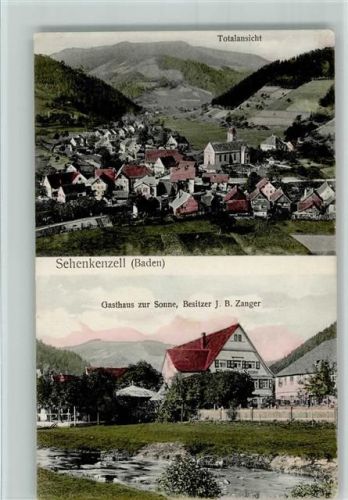 77773 W7234 Schenkenzell 1912 - Druckfehler Sehenkenzell - Gasthaus zur Sonne und Ortsansicht AK