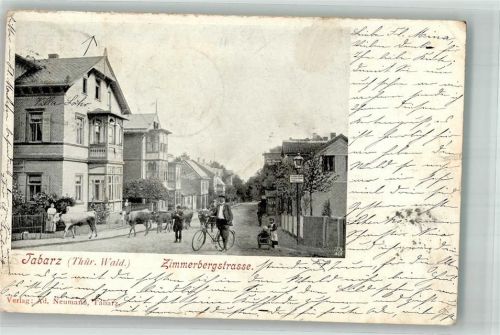 Tabarz 1902 Zimmerbergstraße Rinderherde Fahrradfahrer Kind mit Bollerwagen