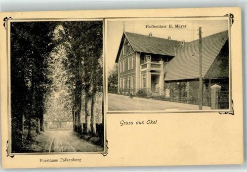 Okel Forsthaus Falkenburg Baumallee