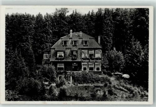 Schierke Pension Bergfrieden Frau Dr. Meine