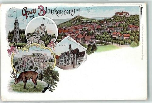 Blankenburg Kaiserwarte Der Großvater Rathaus Regenstein Hirsch