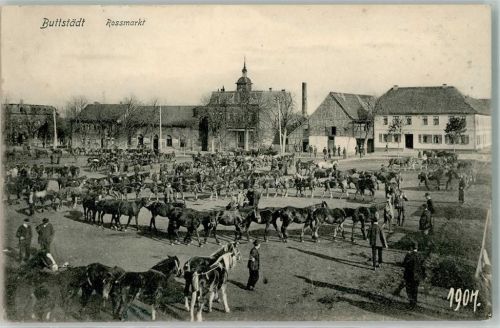 Buttstädt 1909 Rossmarkt Pferdeauktion