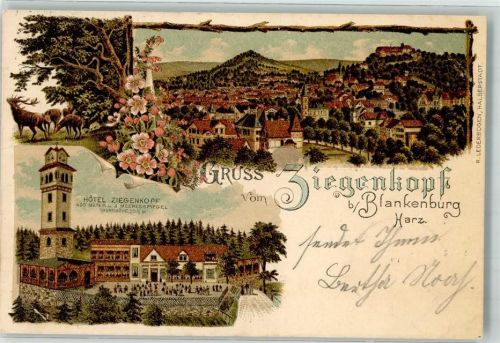 Blankenburg 1900 Hotel Ziegenkopf