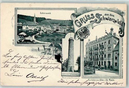 Schönwald 1902 Turm auf dem Stöcklewald Kurotel zum Adler