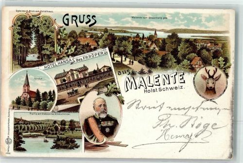 Malente Hotel Hansa Ugleisee Rehbock Dieksee Portrait