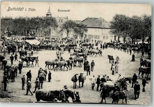 Buttstädt 1908 Rossmarkt Pferdeauktion