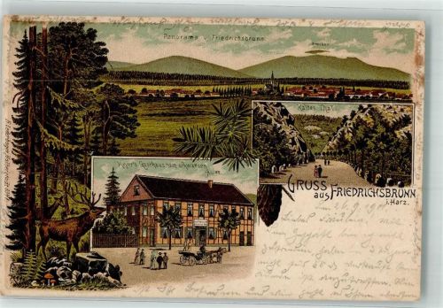Friedrichsbrunn 1901 Lithographie Hirsch Hirschkuh Pilze Gasthaus zum schwarzen Adler Kaltes Tal