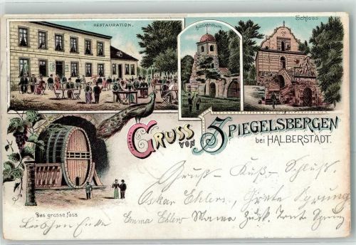Halberstadt 1897 Gasthaus Spiegelsbergen Aussichtsturm Schloss Großes Fass Pfau