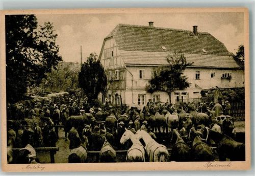 01468 O8105 Moritzburg - Pferdemarkt