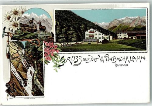 Ramsau Wilbachklamm Gämse Edelweiß Gasthaus zum Wildbachklamm
