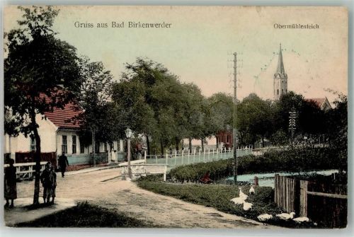 Birkenwerder Dorfstrasse Gänse Obermühlenteich