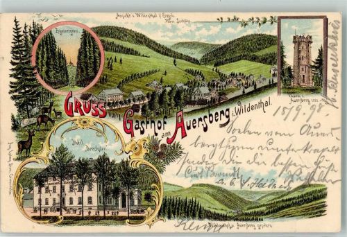 Wildenthal 1898 Hotel Drechsler Rehbock Aussichtsturm Zigeunergrund Bahnpost Chemnitz-Aue Zg. 1777