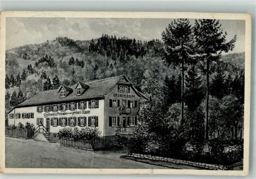 Oberkirch Gasthaus Zum Grünen Baum