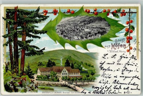 75339 W7545 Höfen an der Enz 1902 Lithographie Gasthaus zum Ochsen