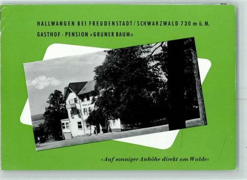 Hallwangen Gasthaus Grüner Baum