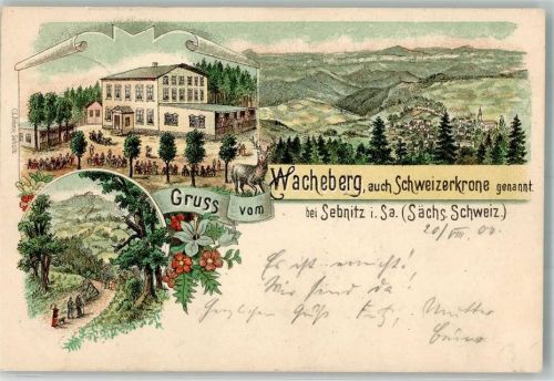 Sebnitz 1900 Wacheberg Gasthaus Schweizerkrone Waldweg Hirsch