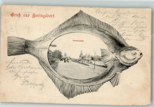 Heringsdorf 1904 Scholle Ufer-Promenade